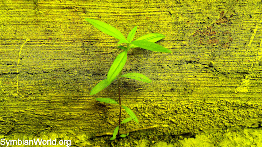  Fiddling on new Symbians Awesome Photo Editor   Nokia C7 and Nokia N8 samples