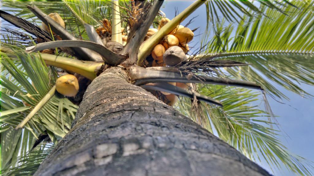 HDR Image taken with Nokia N8 using the HDR App from Ovi Store 1 Taking Nokia N8 In A HDR Photography   HDR Photo Camera App